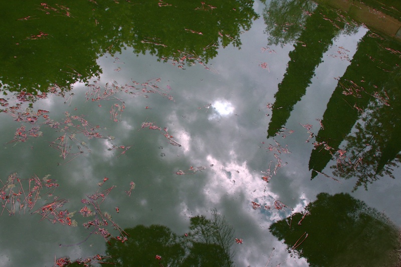 270507- 182bc2pst.jpg